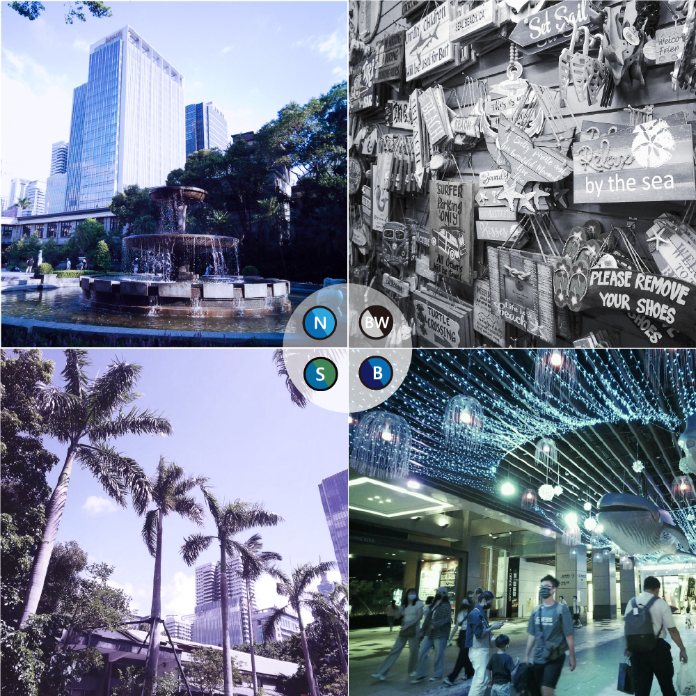 Pack de cartes filtres - 4 cartes