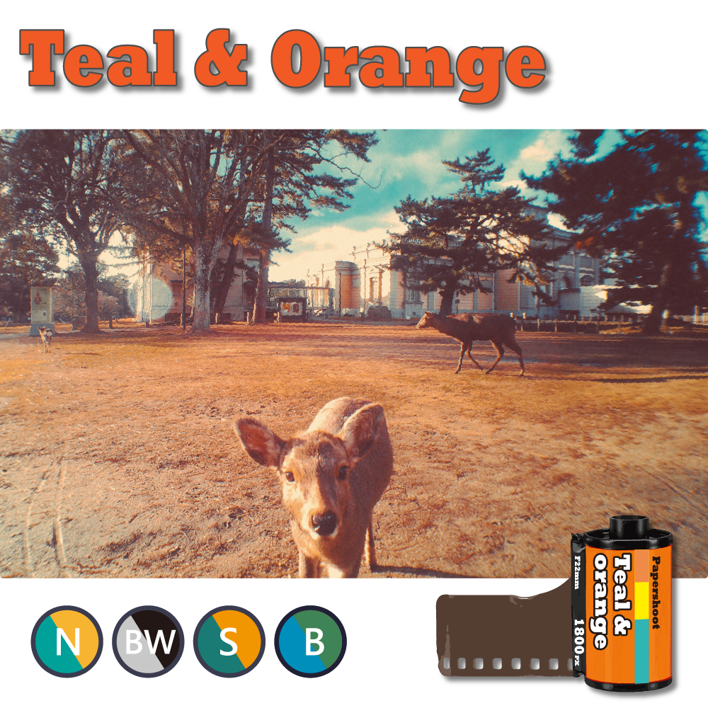 Pack de cartes filtres - 4 cartes