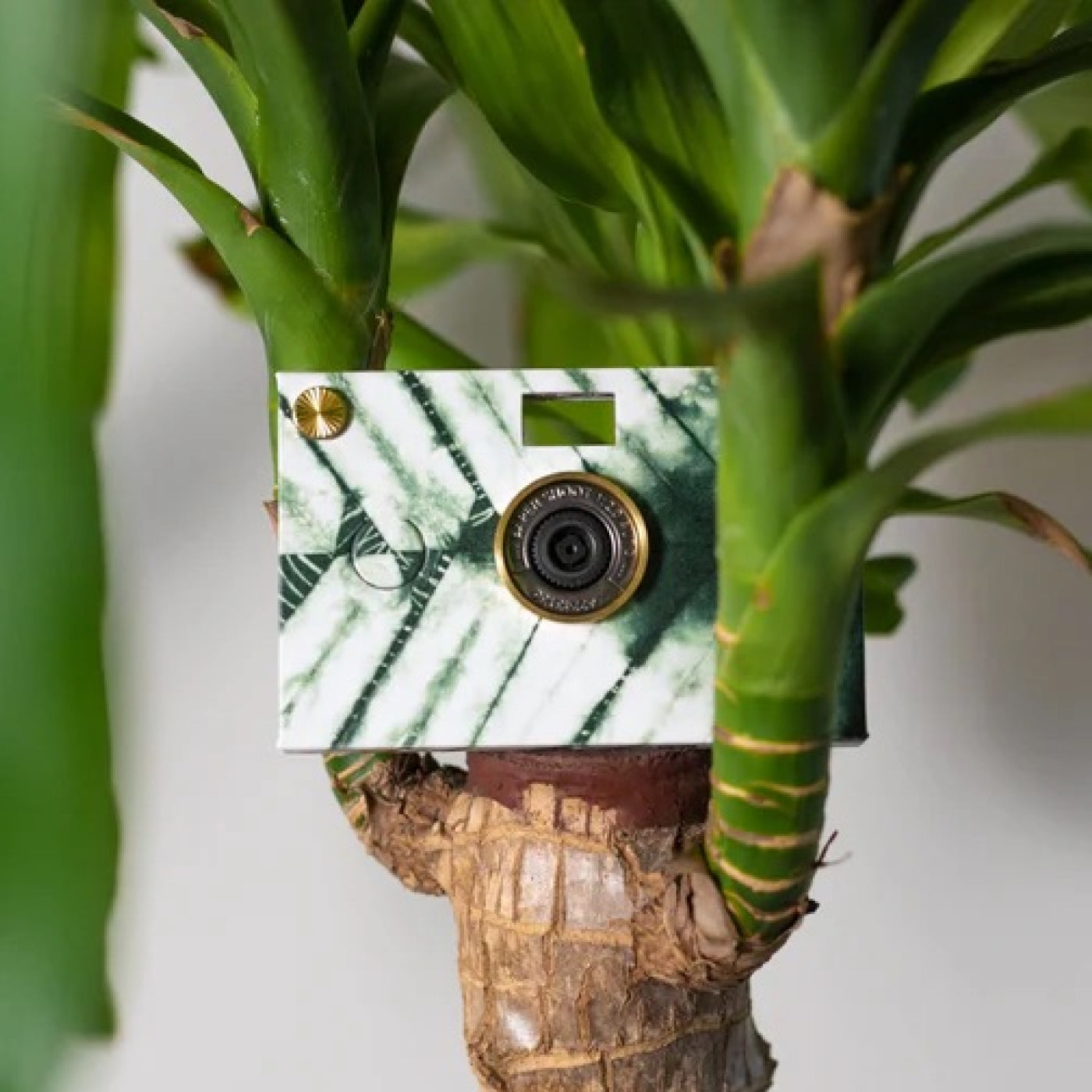 Set appareil photo (coque incluse) - Zen - Matsuba