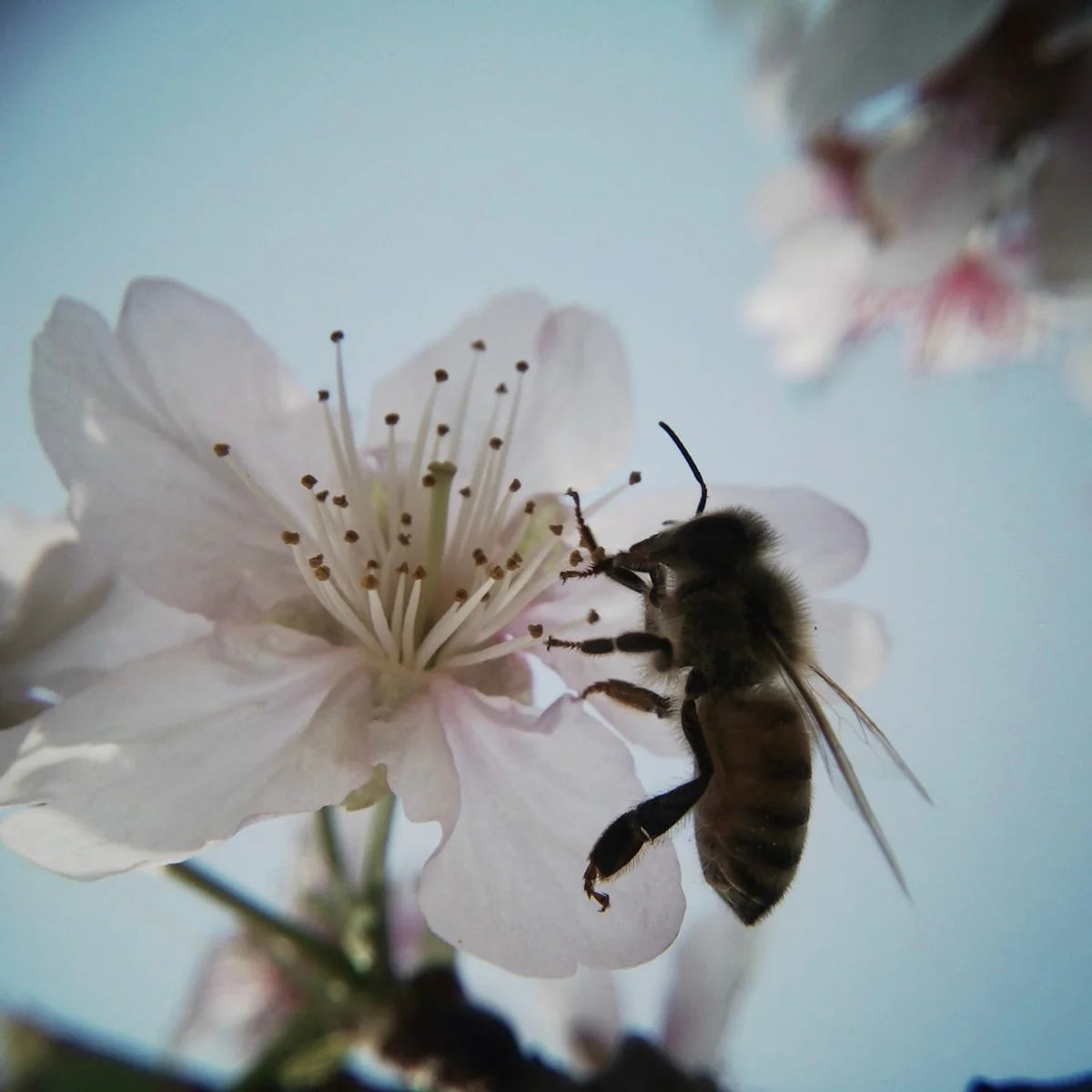 Pack d'objectifs - Grand Angle & Macro